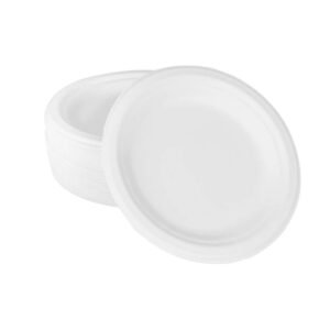 Bagasse Plates & Bowls